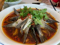 剁椒鱼翅-旭龙鱼头王(航华店)