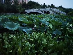 -三圣花乡旅游区