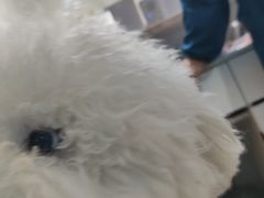 -科道动物医院·急重症中心(万达院)