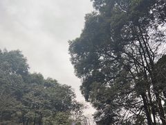 -青城山