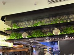 自助取餐区-小厨娘淮扬菜(清江苏宁广场店)