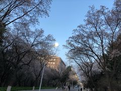 -吉林大学(南岭校区)