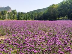 -百里山水画廊