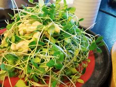 桃仁香椿苗-和园餐厅