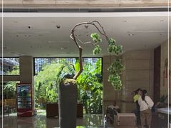 -九华山聚龙大酒店