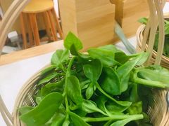 -王奋斗贵州酸汤牛肉火锅