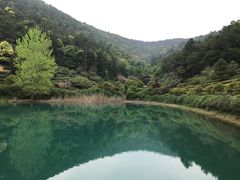 -九龙潭景区