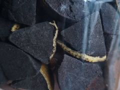 -方林富炒货店(武林路店)