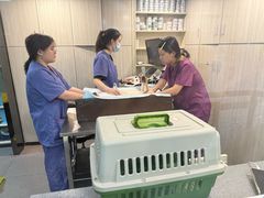 -半岛宠物医院24小时(科华中路店)