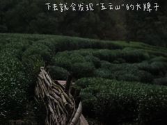 -西湖风景区十里琅珰-五云山