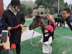 -重庆和泰马术俱乐部