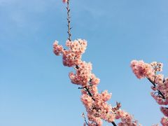 -江南大学(蠡湖校区)