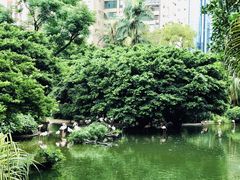 -九龙公园