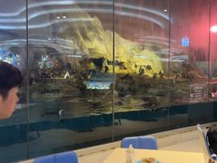 -帝企鹅自助餐厅•儿童岛•真企鹅(长隆企鹅酒店)