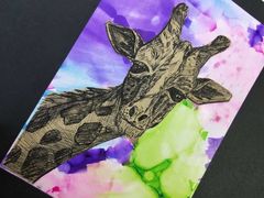 -蒂朵儿童绘画美术教室