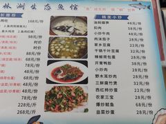 -柘林湖生态鱼馆