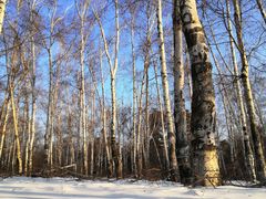 -长春市南湖公园