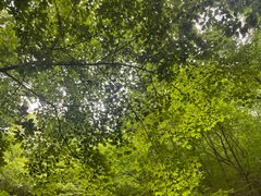 -本溪汤沟绿石谷森林公园