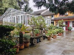 -普陀山慧济禅寺