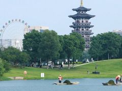 -洋湖国家湿地公园