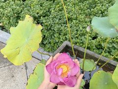 -天津市峰山药王古寺