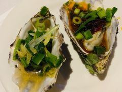-食为先(Shark Fin)