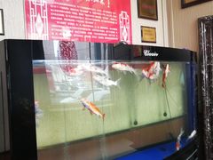 -老六杀猪菜(进乡街店)