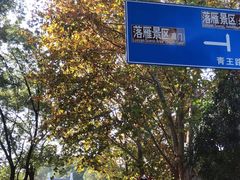 -东湖落雁景区