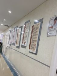 -五洲妇儿医院