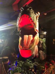 -恐龙探索乐园(磁器口店)