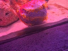 -上海海洋水族馆