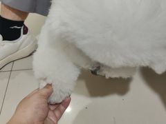 -科道动物医院·急重症中心(万达院)
