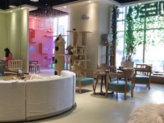 -藏猫猫咖啡主题馆(中央大道店)