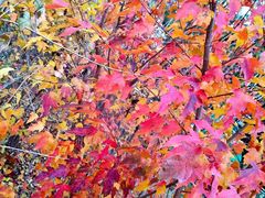 -长春公园(普阳街道)