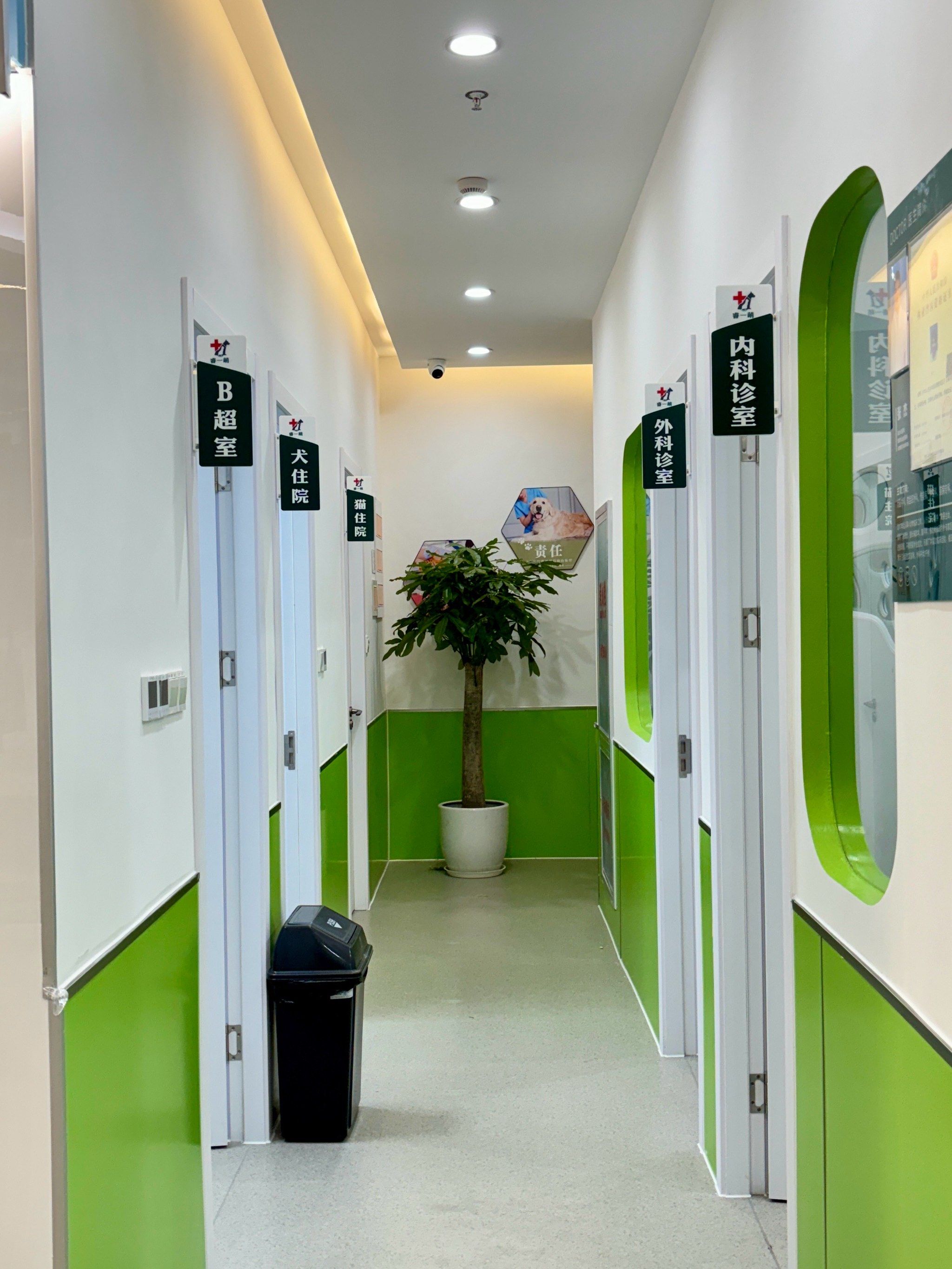 高境的毛孩子有福了!这家宠物医院24h护航