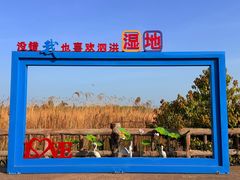 -泗洪洪泽湖湿地景区
