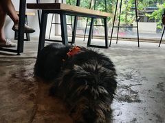 -Alimentari早午餐(安福路店)