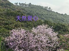 -小南山公园