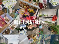 -溪岸路花鸟市场
