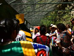 -山西通天峡景区