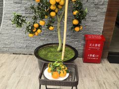 -茅庐·川粤精品私房菜(金沙遗址店)