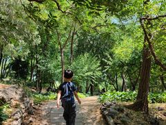 -阳台山自然风景区