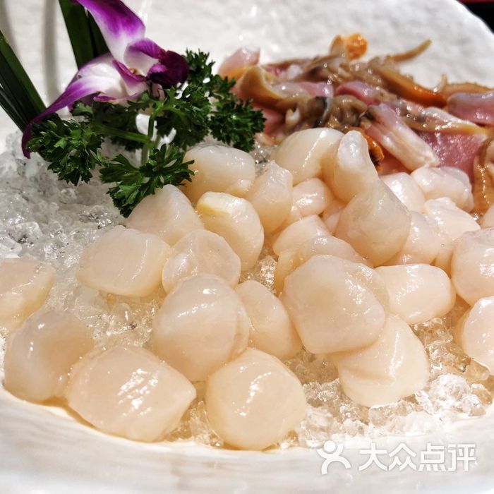 豆巴比豆           bonnie-xu           blackskye