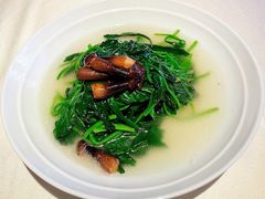 上汤时蔬-皇朝会.经典传统粤菜(外滩店)