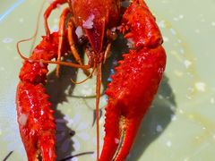 -虾友情龙虾烧烤