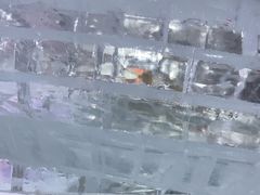 -宁波冰雪大世界(北仑区)