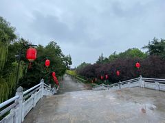 -洛阳市隋唐城遗址植物园