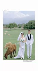 点击看大图 -金夫人婚纱摄影