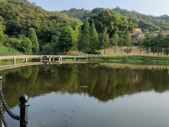 -厦门国家会计学院