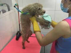 -喵宠乐园·撸猫互动·猫舍